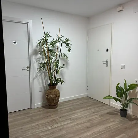 Linerlife Malaga
